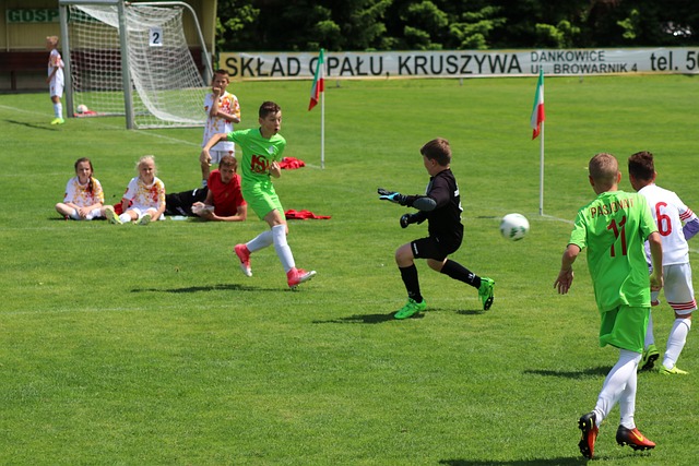 新华时评丨美丽中国“绿色密码”启迪共建清洁美丽世界.