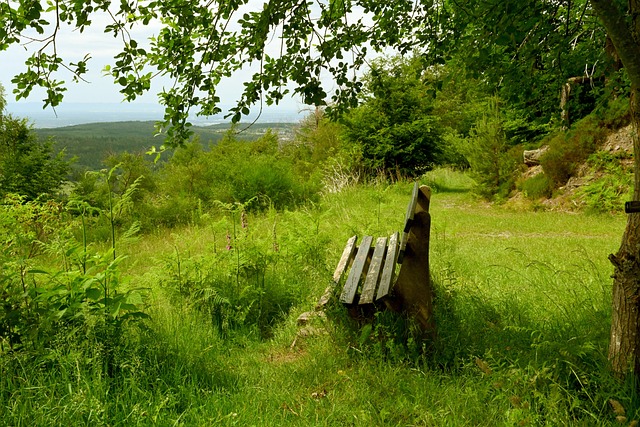 的失误与对 的失误与对