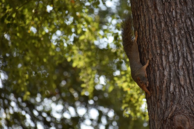 挑战与乐趣 挑战与乐趣