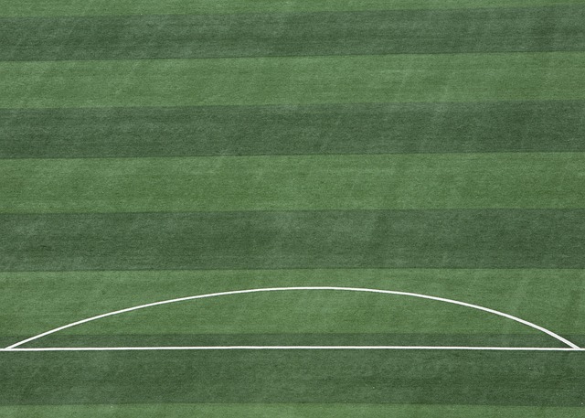 養樂多燕九 養樂多燕九