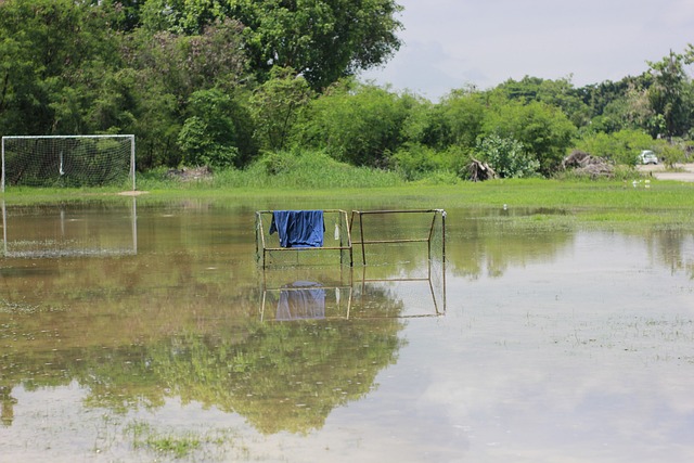 丁彥雨航華麗變身 一招晃倒艾倫後雙手猛扣展現爆發力.