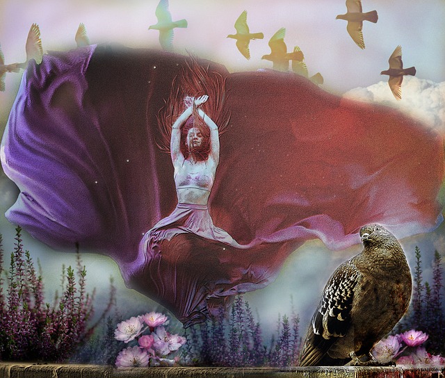 和专业能力 和专业能力